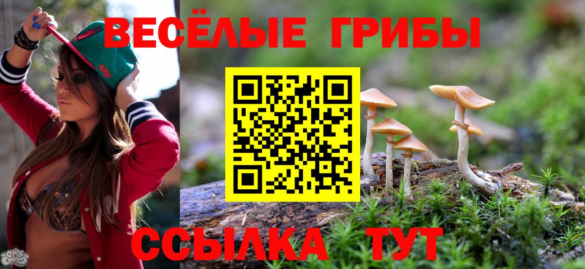 продажа наркотиков  Вход с VPN  Псилоцибиновые грибы прущие грибы  Ахтубинск  Псилоцибиновые грибы MAGIC MUSHROOMS 